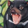 Aussie Devil 的头像