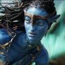Thania profil fotoğrafı