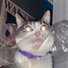 Willie's profile picture