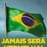 Manoel Freitas 的头像
