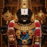 vekatswamy S 的头像