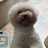 SITI KUSMINI's profile picture