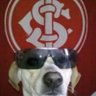 Andrigo 🇦🇹 profil fotoğrafı