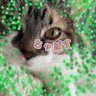 にこ's profile picture