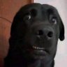 Beker Ortiz's profile picture