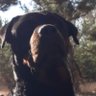 savaş profil fotoğrafı