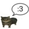 Profilbild von puzzle