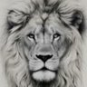 African Lion Heart 的头像