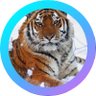 Profilbild von jimmy