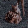 Lucky's profile picture