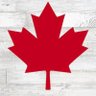Mr. Teach🇨🇦🍎 💉 💉 💉 💉 💉 profil fotoğrafı