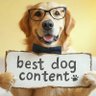 best dog content profil fotoğrafı