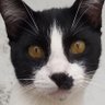 jack's profile picture