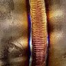 DAtWeLDEr247's profile picture