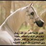 دوسرية وافتخر♥️ 的头像