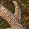 edgarmartins mwila profil fotoğrafı