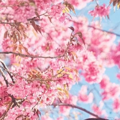 Linjiadong2667's profile picture