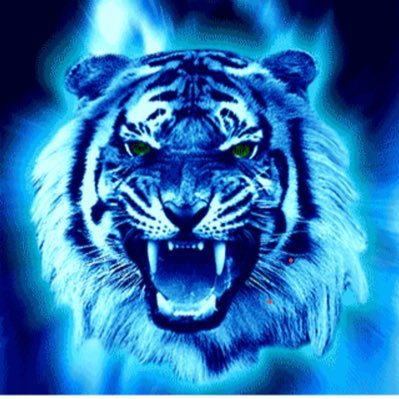 sibirya_k's profile picture