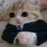 Profilbild von osama awad