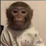MarinelaBets 的头像