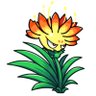 Bruvent, that Clivia's profile picture