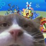 waqua's profile picture