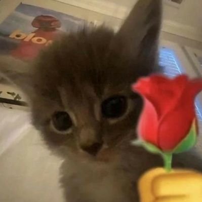 Sinemless's profile picture