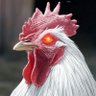 sufficiently Jeff's profile picture