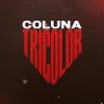 colunatricolor's profile picture