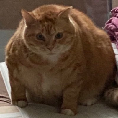 kimnaembee's profile picture