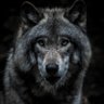 gouse Vogue (Ø,G) profil fotoğrafı