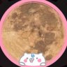 月華(げっか)🌸's profile picture