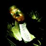 Profilbild von MIERR'E