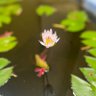 Srikanth 的头像