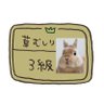 Profilbild von ミカンの皮