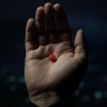 Reject The Matrix's profile picture