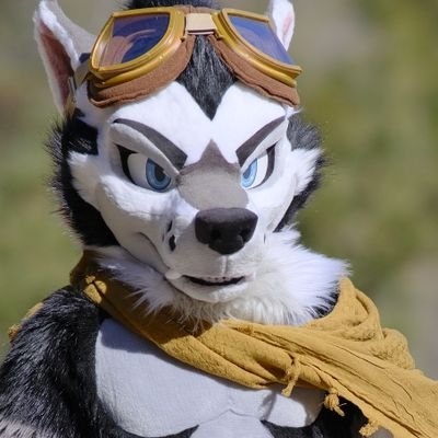 Gyro's profile picture