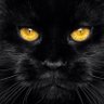 AWE SE's profile picture