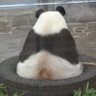 とらみ 的头像