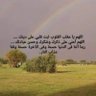 Mansour Alrashidi       A  R's profile picture