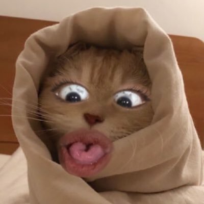 Bxll999's profile picture