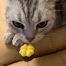 ã¢ãžãã©ã€'s profile picture
