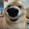 可可 的头像