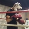 ゼロ 的头像