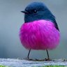 nice 🕊️ 的头像