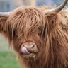 Biostatsfun's profile picture