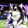Sad Seattle Fan profil fotoğrafı