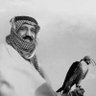 Aziz Aldawish 🦅's profile picture