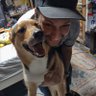 Profilbild von Christopher (Froboywest)