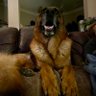 Profilbild von Keith Allan